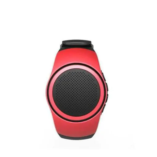 Bluetooth Speaker, Sports Watch, Smart Speaker
