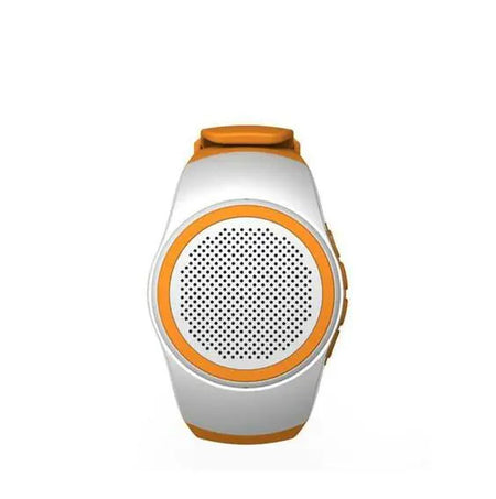 Bluetooth Speaker, Sports Watch, Smart Speaker